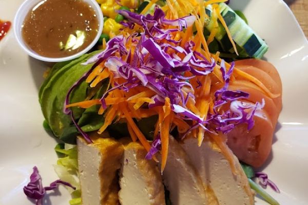 Vegan House