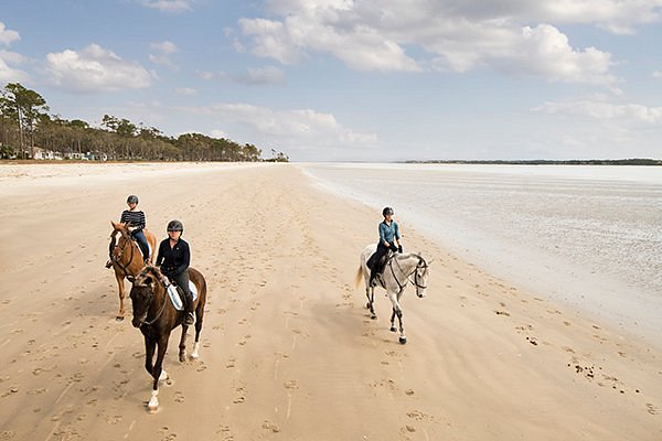 People riding horses on the beach at Daufuskie Island