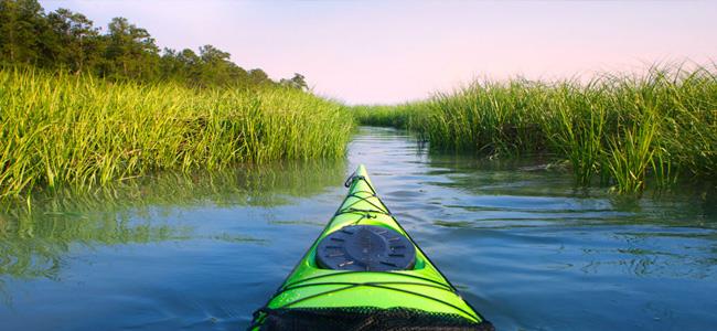Kayak through Pinckney Island